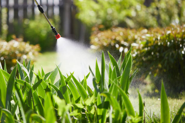 24/7 Emergency Mosquito Control experts in Warren, MI